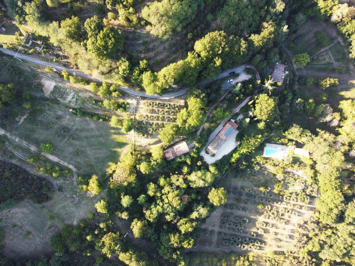 Bed And Breakfast Il Governatore Urbino Dış mekan fotoğraf