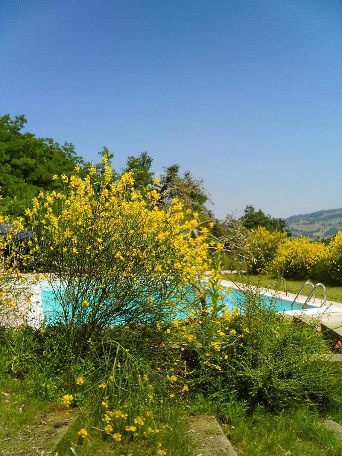 Bed And Breakfast Il Governatore Urbino Dış mekan fotoğraf