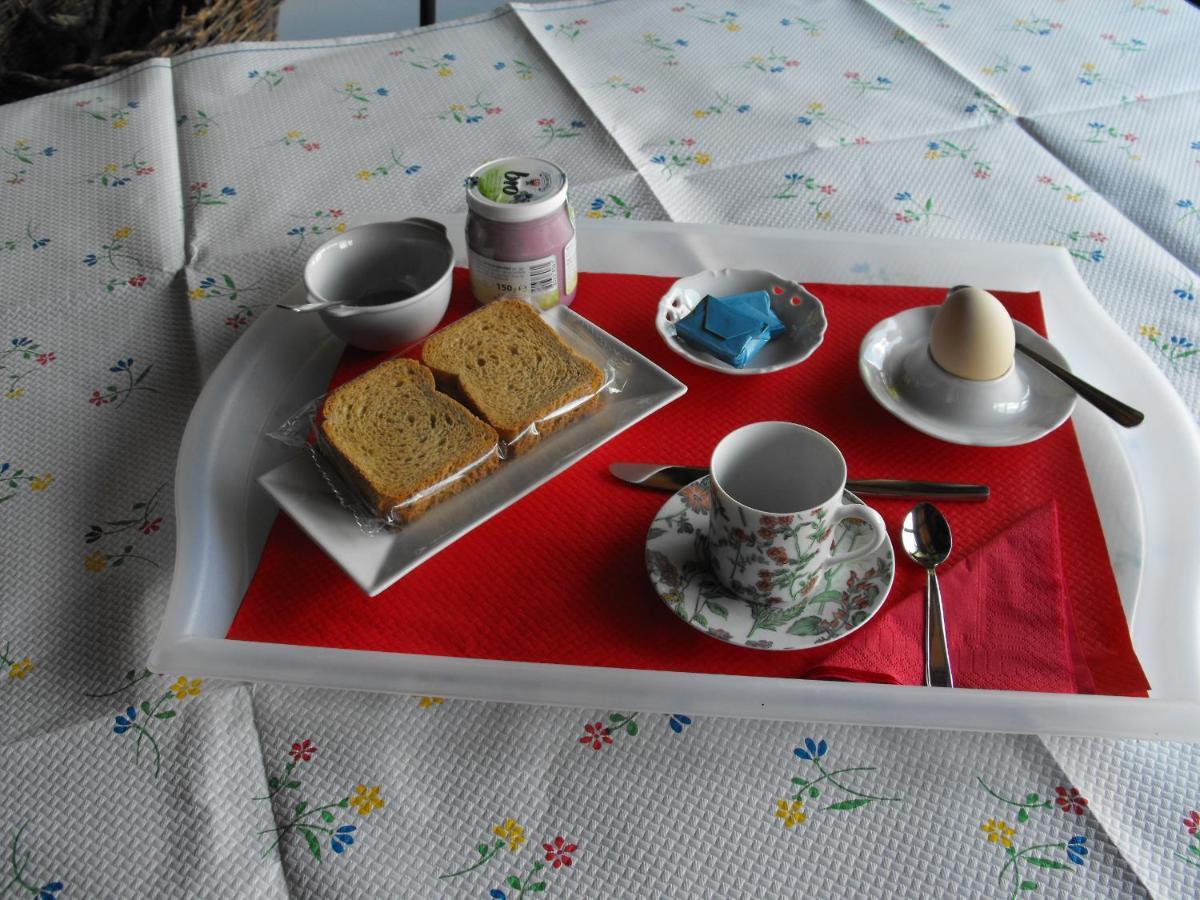 Bed And Breakfast Il Governatore Urbino Dış mekan fotoğraf