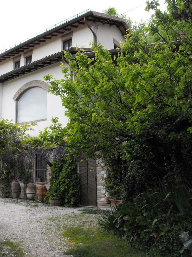 Bed And Breakfast Il Governatore Urbino Dış mekan fotoğraf