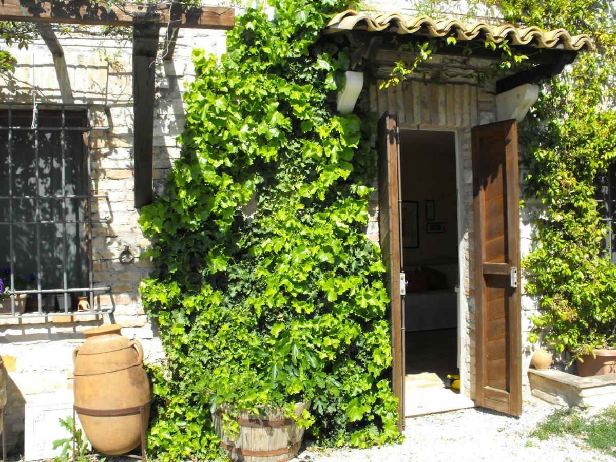 Bed And Breakfast Il Governatore Urbino Dış mekan fotoğraf